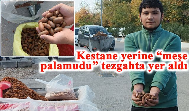 Kestane yerine “meşe palamudu” tezgahta yer aldı