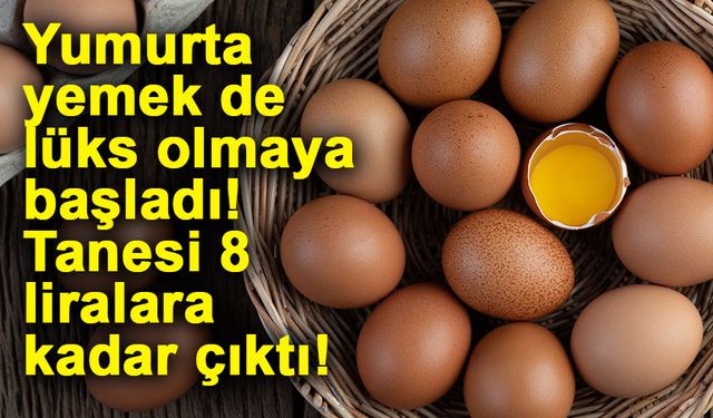 Yumurta yemek de lüks olmaya başladı! Tanesi 8 liralara kadar çıktı!