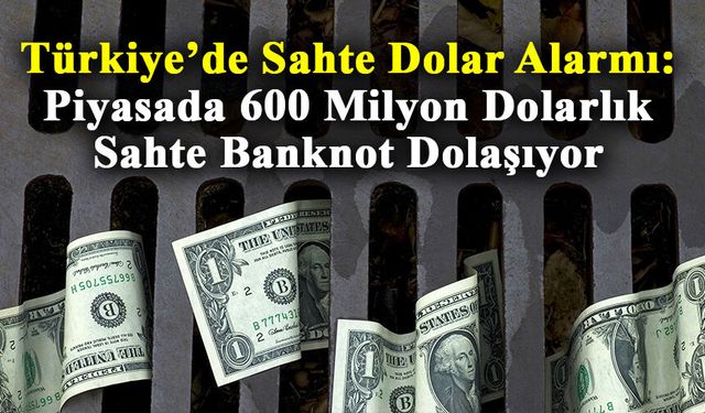 Türkiye'de sahte dolar alarmı: ATM ve para sayma makineleri bile ayırt edemiyor