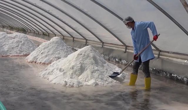 Türkiye’nin Doğal Mirası Delice Tuzu, Dünya Pazarında Zirveye Oynuyor!