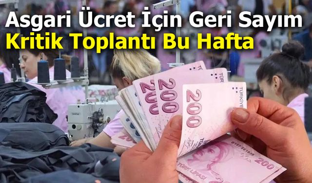 Yeni yılda geçerli olacak asgari ücretin bu hafta belirlenmesi bekleniyor