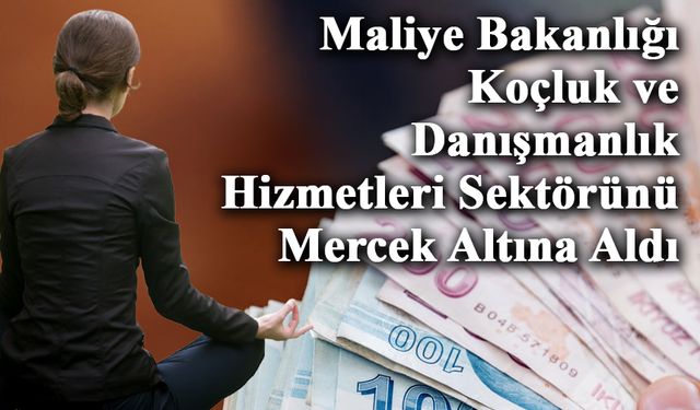 Maliye Bakanlığı Koçluk ve Danışmanlık Hizmetleri Sektörünü Mercek Altına Aldı