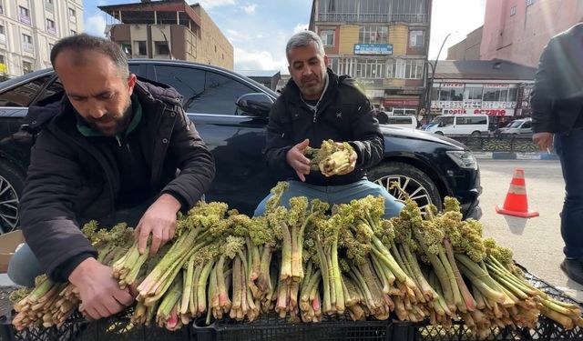 Yayla Muzu 100 TL’den Tezgâhlarda