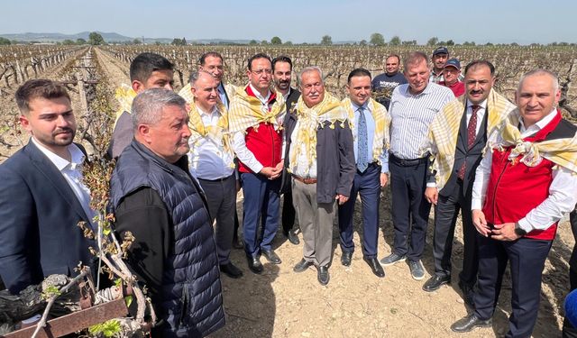 Bakan Yardımcısı Gizligider: "Zirai don zararını devlet karşılayacak"