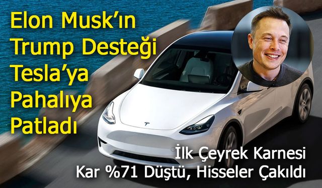 Tesla'nın Net Karı İlk Çeyrekte Sert Düştü!