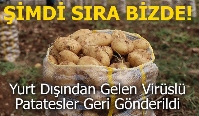 Yurt Dışından Gelen Virüslü Patatesler Geri Gönderildi