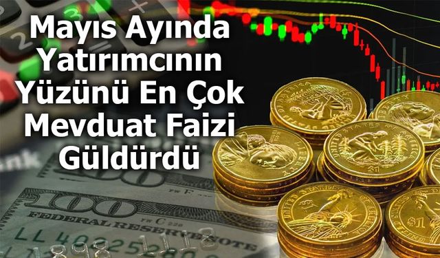 Mayıs Ayında Yatırımcının Yüzünü En Çok Mevduat Faizi Güldürdü
