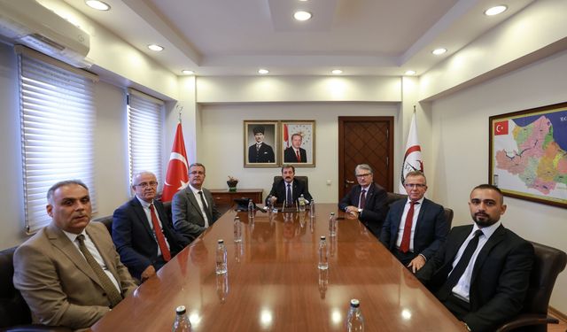 Samsun'da tüm sığırlara kimlik!