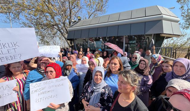 Tekirdağ'da mağdur işçiler fabrika kapısına dayandı