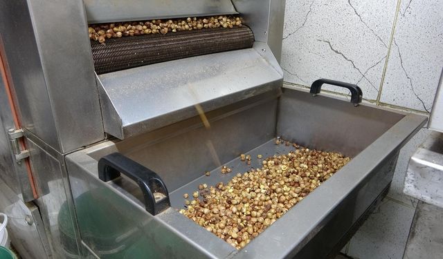 Fındıkta Rekolte Düşüklüğü İşleme Tesislerini de vurdu!