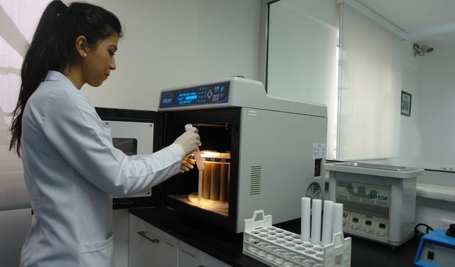 Kuru İncir üreticisine çifte destek