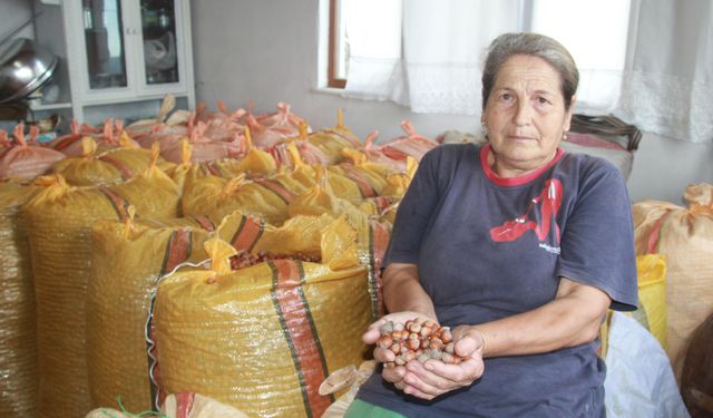 Fındık üreticileri mahsullerini evde depoluyor: Beklenti 500 lira