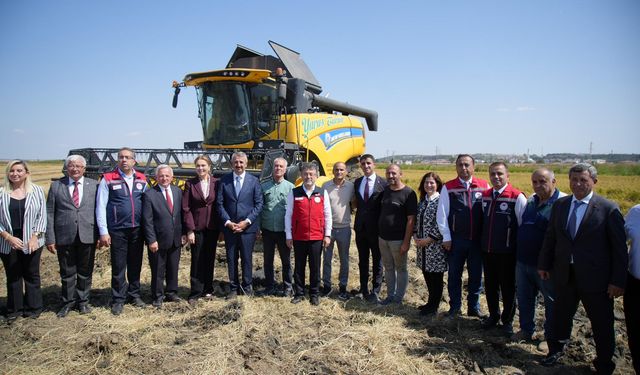 2025 yılı için çeltikte 988 bin tonr