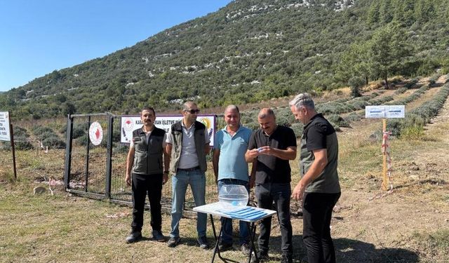 Lavanta bahçeleri köylüye emanet edildi