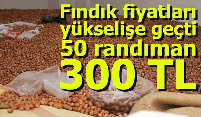 Fındık fiyatları yükselişe geçti: 50 randıman 300 TL