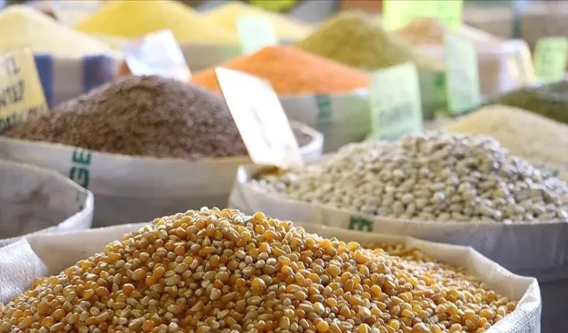 Hububat ihracatı yılın ilk 8 ayında 8,1 milyar dolar oldu