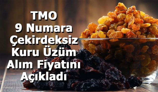 TMO, 9 Numara Çekirdeksiz Kuru Üzüm Alım Fiyatını Açıkladı