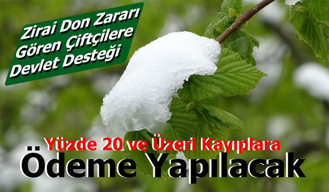 Çiftçiye Zirai Don Tazminatı Ödenecek! Şartlar belli oldu...