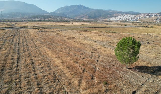 BYD'nin Manisa'daki fabrika sahasında sessizlik sürüyor!