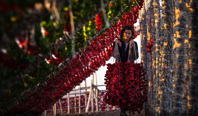 Gaziantep’in Güneşiyle Kuruyan Lezzet: Sebze Kurutmalıkları Dünya Sofralarında
