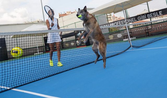 Milli Tenisçi Çağla Büyükakçay, Patili Dostuyla Kortta!
