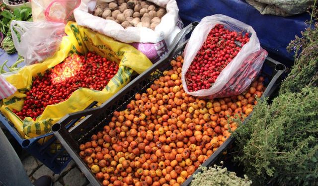 Aydın’ın Dağlarında Yetişen Şifalı Alıç Tezgahlarda Yerini Aldı