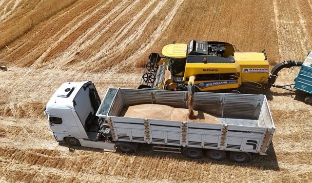 Arpa Fiyatları Yükselişini Sürdürüyor!