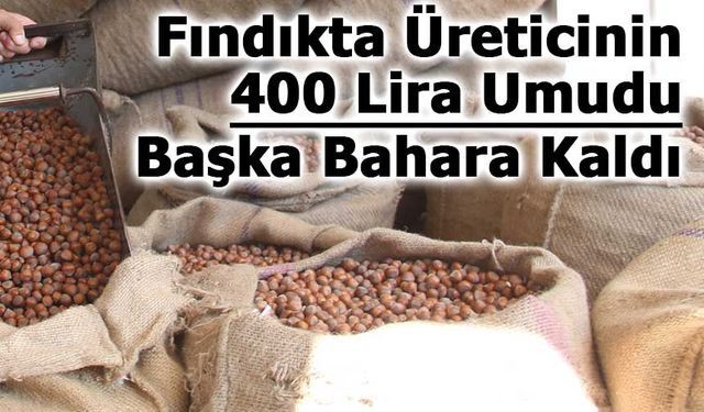 Fındıkta Üreticinin 400 Lira Umudu Başka Bahara Kaldı