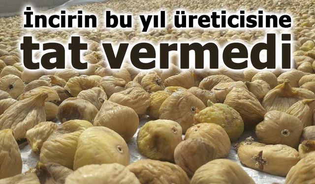 Türkiye’nin Milli Meyvesi İncir Üreticiyi Üzdü: Ürün Ellerinde Kaldı