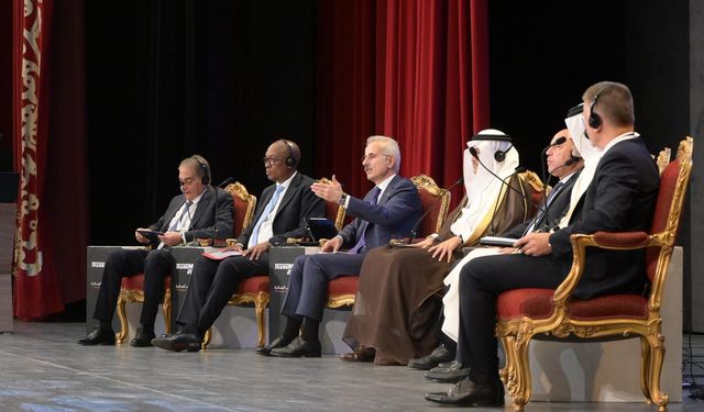 Mısır ile Ro-Ro taşımacılığını yeniden başlatma çalışmaları sürüyor!