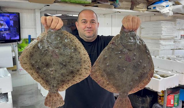 Karadeniz’de Hamsi Bereketi Tezgâhlara Canlılık Getirdi