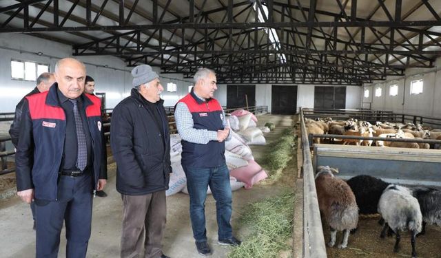 Devlet Desteğiyle 120 Başlık Küçükbaş Hayvan Çiftliği Kuruldu