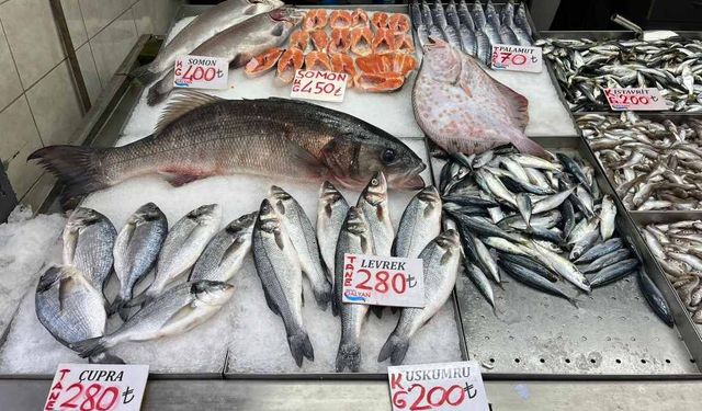 Kilosu Bin Liradan Tezgâha İndi! 7,5 Kiloluk Dev Levrek İlgi Odağı Oldu