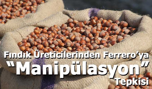Fındık Üreticilerinden Ferrero’ya “Manipülasyon” Tepkisi