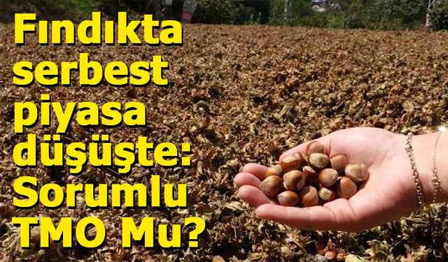 TMO’nun fındık alım fiyatı tartışma yarattı: Üretici zarar ediyor
