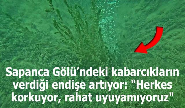 Sapanca Gölü’nde Kabarcıklar Endişe Yaratıyor: “Herkes Korkuyor, Rahat Uyuyamıyoruz”