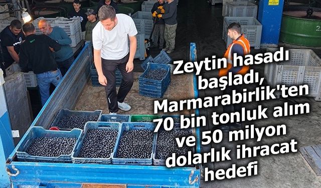 Hasat Başladı: Marmarabirlik’ten 70 Bin Ton Alım ve 50 Milyon Dolarlık İhracat Hedefi
