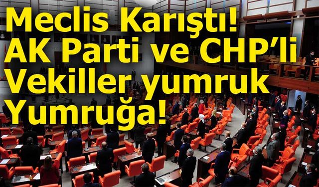 TBMM’de Bütçe Görüşmelerinde Yumruklu Kavga: Meclis Karıştı