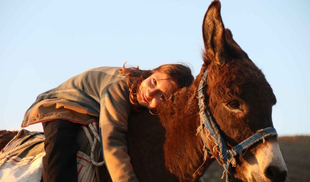 9 Yaşındaki Ayşe Yaren, Eşek Sırtında Koyun Güderek Geleceğe Hazırlanıyor