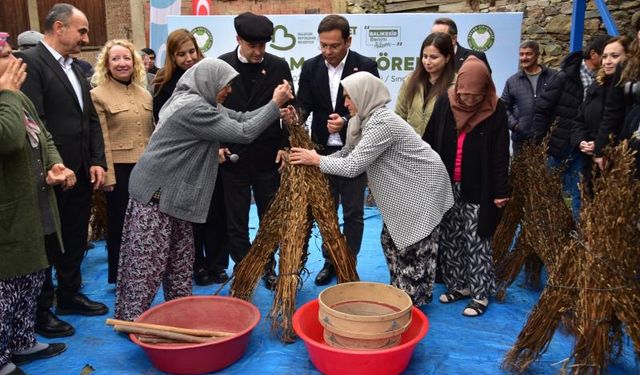 Susam Üreticisine Büyük Destek: Alım Fiyatı 155 TL’ye Çıktı