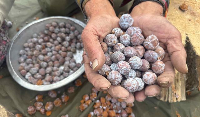 Kozalakları kızgın ateşte saatlerce kaynatarak şifa deposuna dönüştürüyorlar