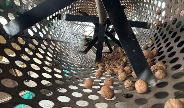 Ceviz Üretimiyle Çehresi Değişen Köy Yatırımcıların Gözdesi Oldu