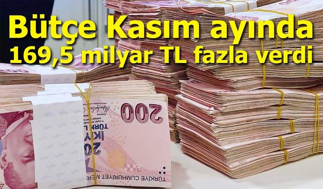 Bütçe Kasım ayında 169,5 milyar TL fazla verdi