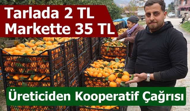 Tarla Fiyatı 2 TL’ye Düştü, Mandalina Markette 35 TL