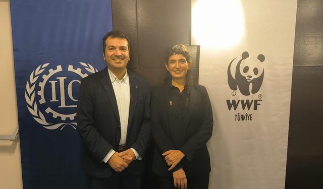 Wwf-Türkiye’den “Türkiye İçin Adil Geçiş Finansmanı Mekanizması Önerisi” Raporu