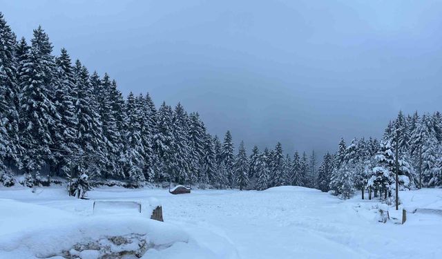 Artvin’in Kafkasör Yaylası Karla Beyaza Büründü