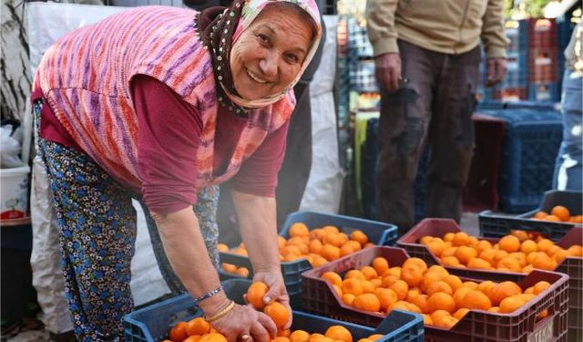 Bodrum Mandalini Türkiye’nin dört bir yanına gönderiliyor