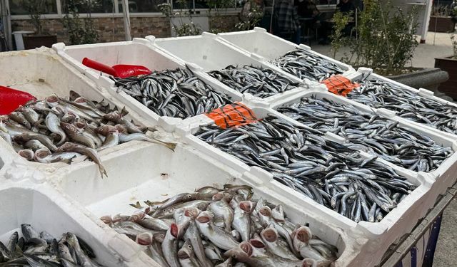 Hava serinleyice hamsi tezgahlara döndü!