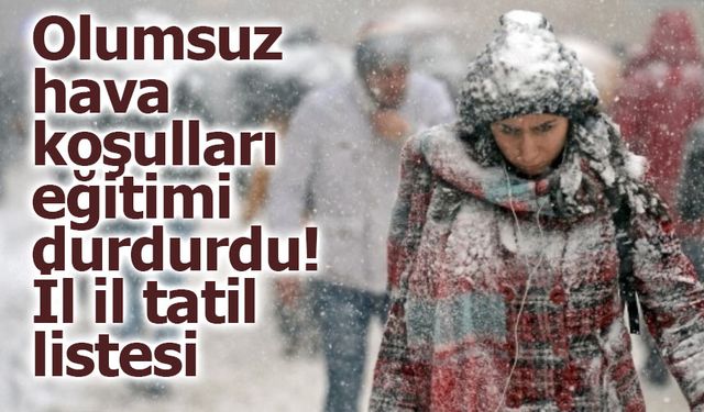 Türkiye kara büründü: Kar yağışı arttıkça tatil haberleri de peş peşe geliyor