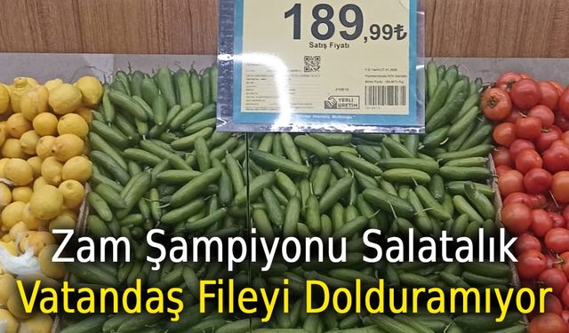 Pazarda zam şampiyonu salatalık
